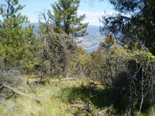 Further up the trail, looking NE towards Peachland, Mount Eneas 2011-08.